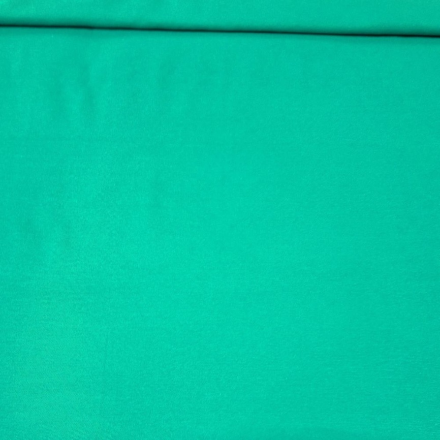 Трикотаж Футер 2-нитка Петля Бирюзово-зелёный фото 1