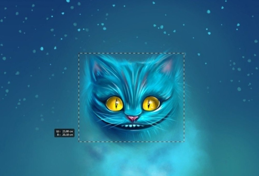 Трикотаж Кулирка Купон Чешир фото 3